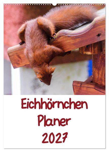 Eichhörnchen Planer 2027 (Wandkalender 2027 DIN A2 hoch) CALVENDO Monatskalender