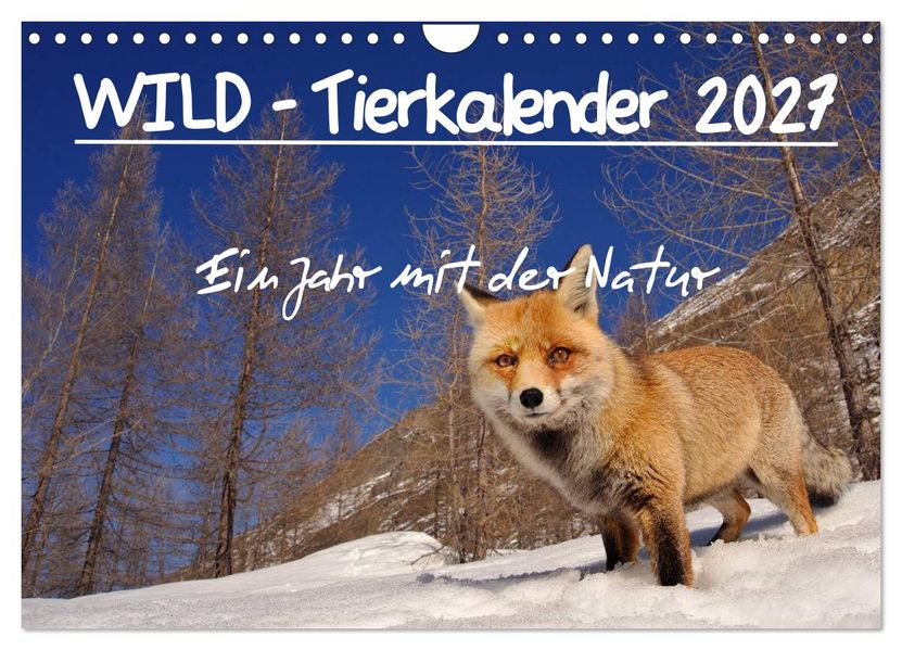 WILD - Tierkalender 2027 (Wandkalender 2027 DIN A4 quer) CALVENDO Monatskalender