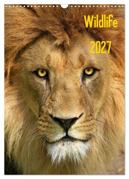 Wildlife 2027 (Wandkalender 2027 DIN A3 hoch) CALVENDO Monatskalender
