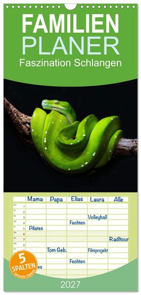 Familienplaner 2027 - Faszination Schlangen mit 5 Spalten (Wandkalender 21 x 45 cm) CALVENDO