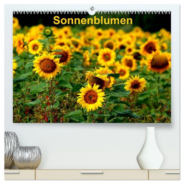 Sonnenblumen (hochwertiger Premium Wandkalender 2027 DIN A2 quer) Kunstdruck in Hochglanz