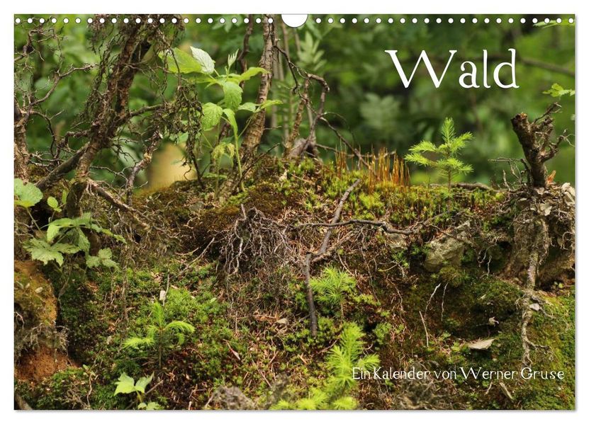 Wald (Wandkalender 2027 DIN A3 quer) CALVENDO Monatskalender