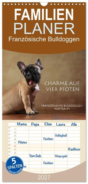 Familienplaner 2027 - Charme auf vier Pfoten - Französische Bulldoggen Portraits mit 5 Spalten (Wandkalender 21 x 45 cm) CALVENDO