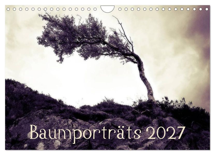 Baumporträts 2027 (Wandkalender 2027 DIN A4 quer) CALVENDO Monatskalender