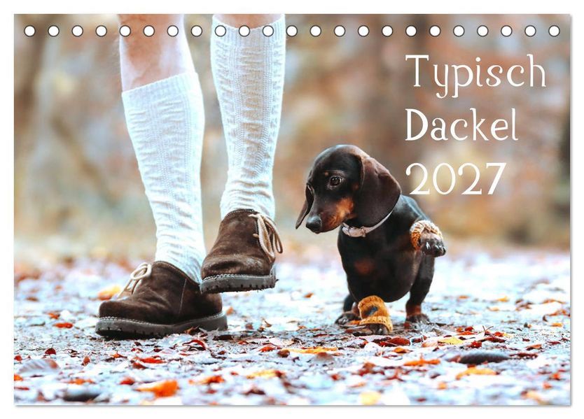 Typisch Dackel 2027 (Tischkalender 2027 DIN A5 quer) CALVENDO Monatskalender
