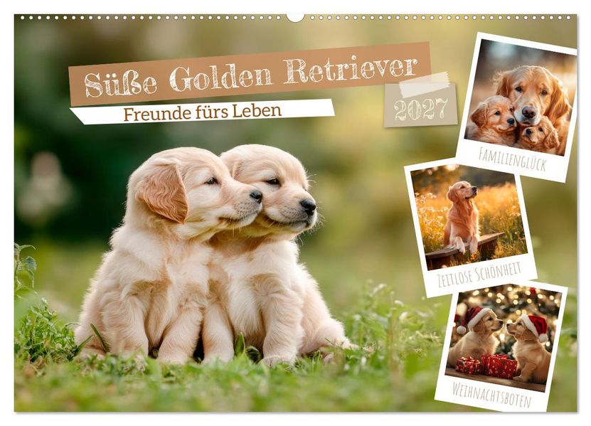 Süße Golden Retriever - Freunde fürs Leben (Wandkalender 2027 DIN A2 quer) CALVENDO Monatskalender
