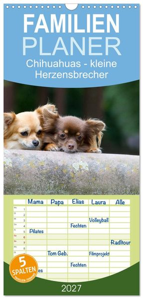 Familienplaner 2027 - Chihuahuas - kleine Herzensbrecher mit 5 Spalten (Wandkalender 21 x 45 cm) CALVENDO