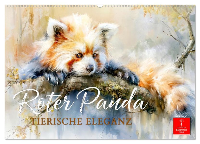 Roter Panda - Tierische Eleganz (Wandkalender 2027 DIN A2 quer) CALVENDO Monatskalender
