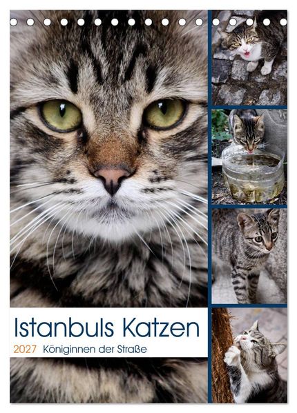 Istanbuls Katzen (Tischkalender 2027 DIN A5 hoch) CALVENDO Monatskalender