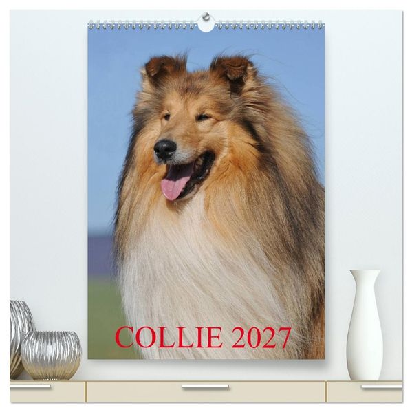 Collie 2027 (hochwertiger Premium Wandkalender 2027 DIN A2 hoch) Kunstdruck in Hochglanz