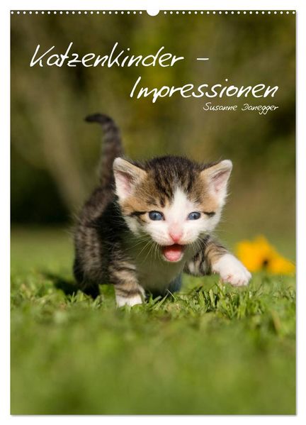Katzenkinder - Impressionen (Wandkalender 2027 DIN A2 hoch) CALVENDO Monatskalender