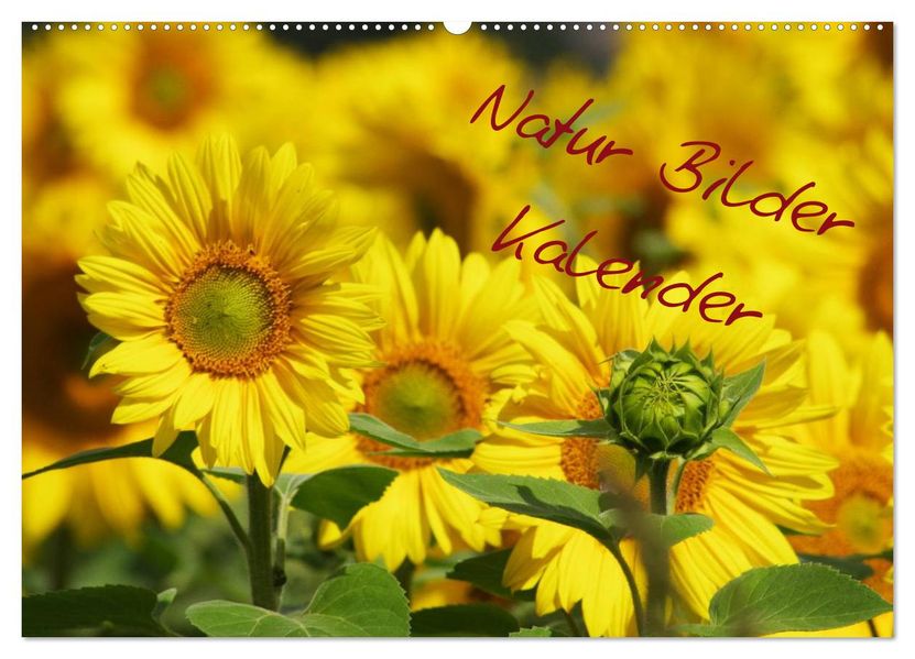 Natur Bilder Kalender (Wandkalender 2027 DIN A2 quer) CALVENDO Monatskalender
