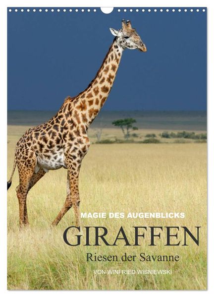 Magie des Augenblicks - Giraffen - Riesen der Savanne (Wandkalender 2027 DIN A3 hoch) CALVENDO Monatskalender