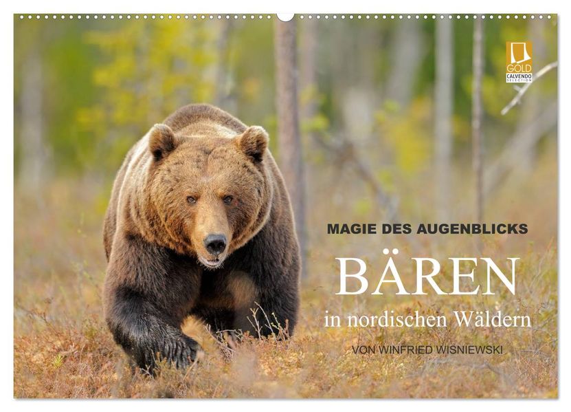 Magie des Augenblicks - Bären in nordischen Wäldern (Wandkalender 2027 DIN A2 quer) CALVENDO Monatskalender