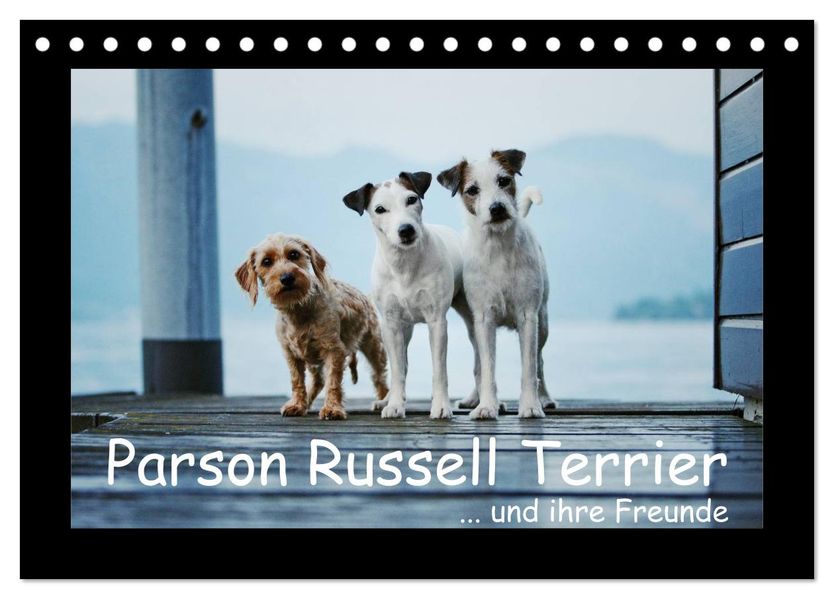 Parson Russell Terrier (Tischkalender 2027 DIN A5 quer) CALVENDO Monatskalender