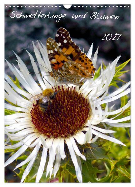Schmetterlilnge und Blumen (Wandkalender 2027 DIN A3 hoch) CALVENDO Monatskalender