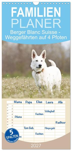 Familienplaner 2027 - Berger Blanc Suisse - Weggefährten auf 4 Pfoten mit 5 Spalten (Wandkalender 21 x 45 cm) CALVENDO