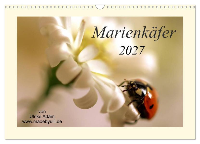 Marienkäfer / 2027 (Wandkalender 2027 DIN A3 quer) CALVENDO Monatskalender