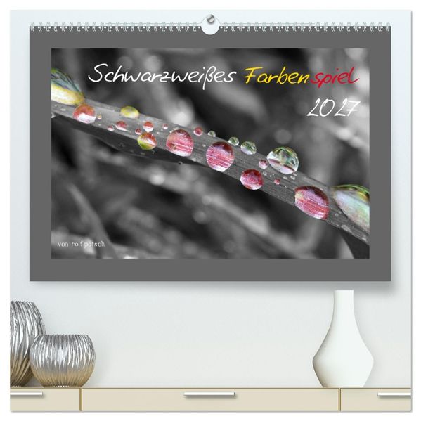 Schwarzweißes Farbenspiel 2027 (hochwertiger Premium Wandkalender 2027 DIN A2 quer) Kunstdruck in Hochglanz