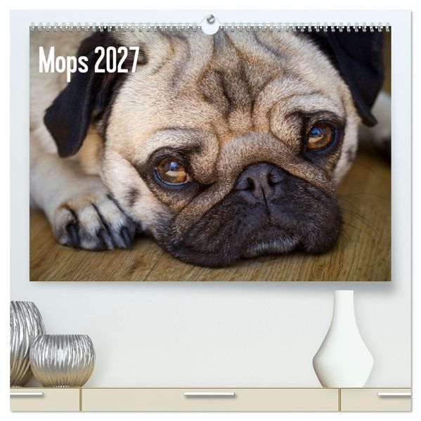 Mops 2027 (hochwertiger Premium Wandkalender 2027 DIN A2 quer) Kunstdruck in Hochglanz