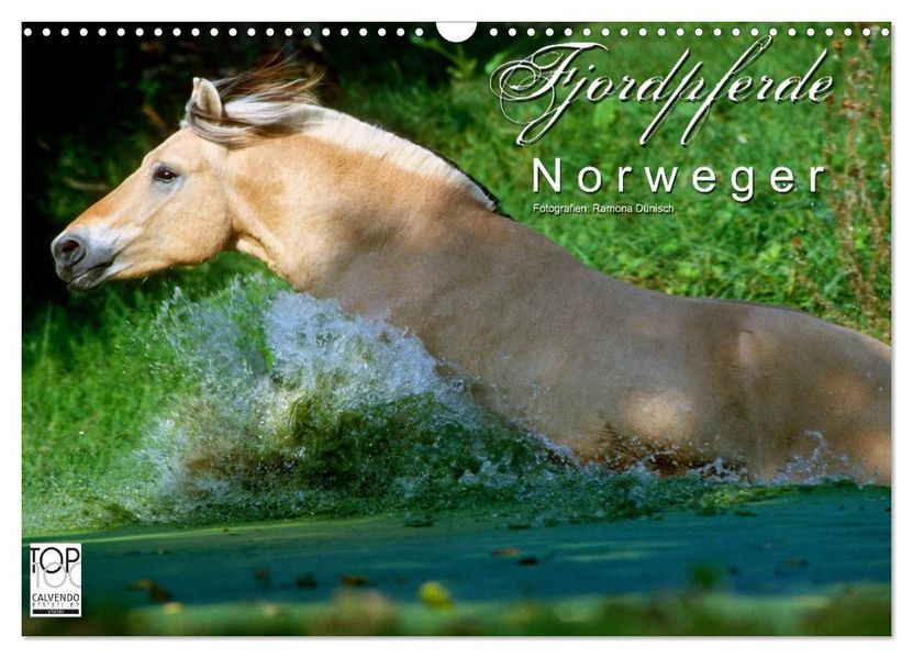 Fjordpferde - Norweger (Wandkalender 2027 DIN A3 quer) CALVENDO Monatskalender