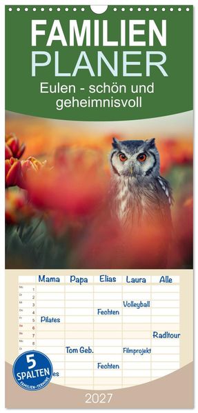 Familienplaner 2027 - Eulen - schön und geheimnisvoll mit 5 Spalten (Wandkalender 21 x 45 cm) CALVENDO