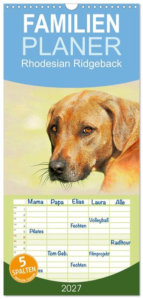 Familienplaner 2027 - Rhodesian Ridgeback 2027 mit 5 Spalten (Wandkalender 21 x 45 cm) CALVENDO