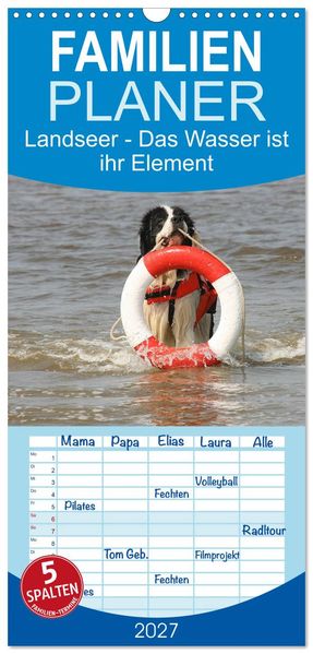 Familienplaner 2027 - Landseer - Das Wasser ist ihr Element mit 5 Spalten (Wandkalender 21 x 45 cm) CALVENDO