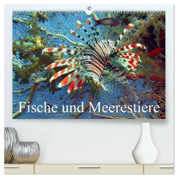 Fische und Meerestiere (hochwertiger Premium Wandkalender 2027 DIN A2 quer) Kunstdruck in Hochglanz