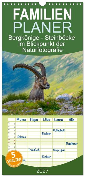 Familienplaner 2027 - Bergkönige - Steinböcke im Blickpunkt der Naturfotografie mit 5 Spalten (Wandkalender 21 x 45 cm) CALVENDO