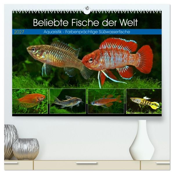 Beliebte Fische der Welt (hochwertiger Premium Wandkalender 2027 DIN A2 quer) Kunstdruck in Hochglanz