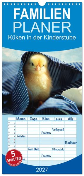 Familienplaner 2027 - Küken in der Kinderstube mit 5 Spalten (Wandkalender 21 x 45 cm) CALVENDO