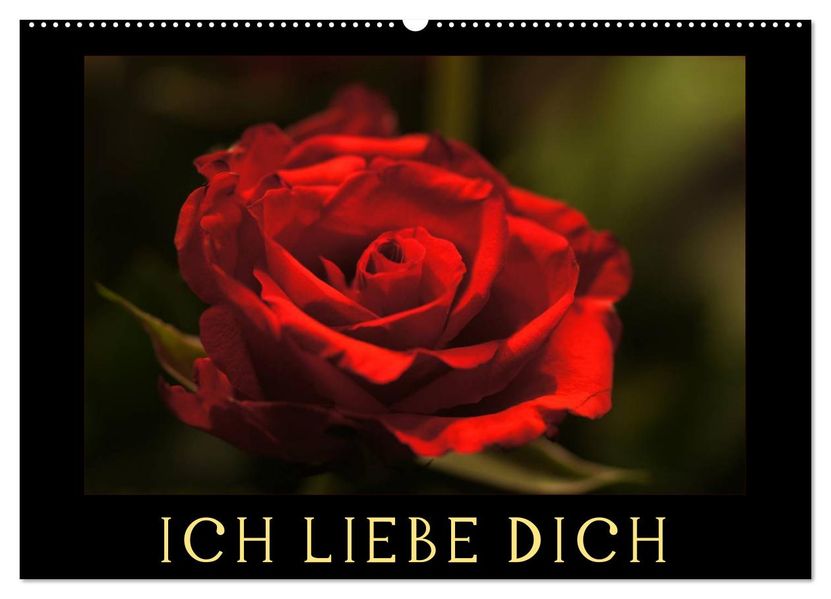 Ich liebe Dich (Wandkalender 2027 DIN A2 quer) CALVENDO Monatskalender