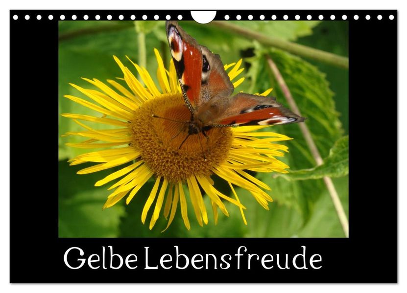 Gelbe Lebensfreude (Wandkalender 2027 DIN A4 quer) CALVENDO Monatskalender