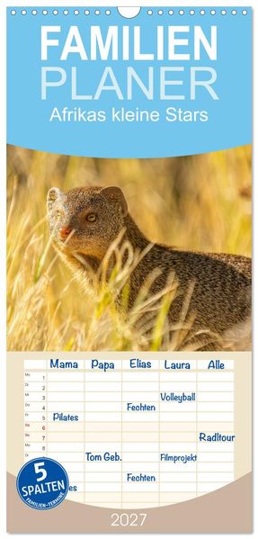 Familienplaner 2027 - Afrikas kleine Stars mit 5 Spalten (Wandkalender 21 x 45 cm) CALVENDO