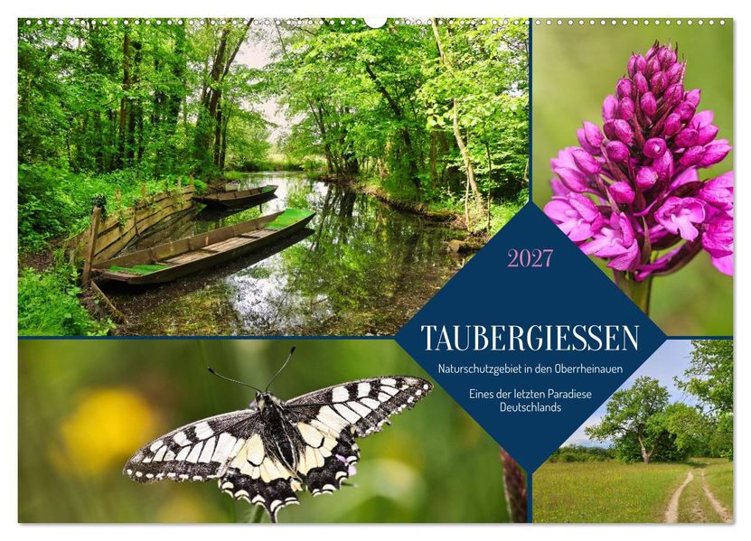 Taubergießen (Wandkalender 2027 DIN A2 quer) CALVENDO Monatskalender