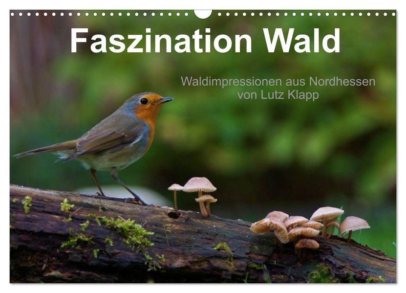 Faszination Wald. Waldimpressionen aus Nordhessen von Lutz Klapp (Wandkalender 2027 DIN A3 quer) CALVENDO Monatskalender