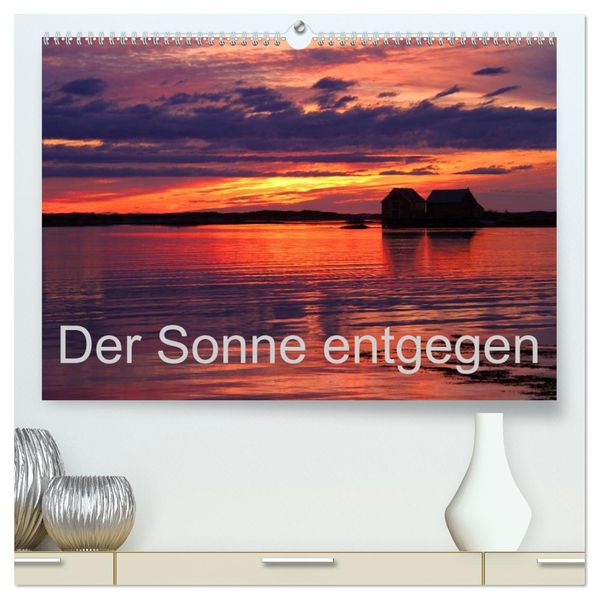 Der Sonne entgegen (hochwertiger Premium Wandkalender 2027 DIN A2 quer) Kunstdruck in Hochglanz