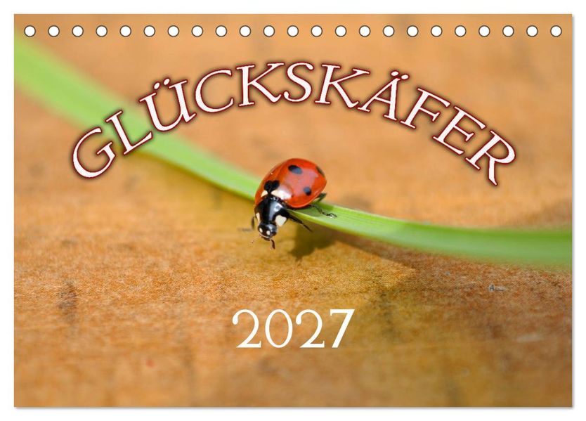 Marienkäfer 2027 (Tischkalender 2027 DIN A5 quer) CALVENDO Monatskalender