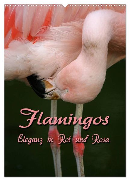 Flamingos - Eleganz in Rot und Rosa (Wandkalender 2027 DIN A2 hoch) CALVENDO Monatskalender