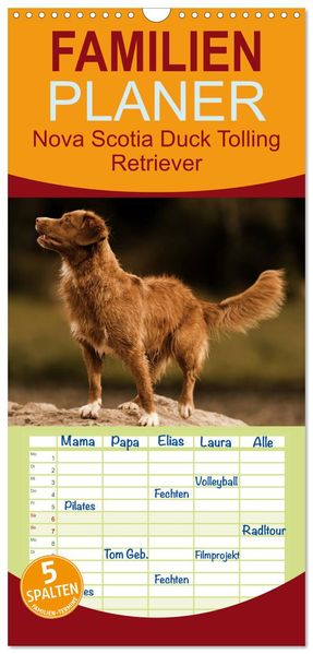 Familienplaner 2027 - Nova Scotia Duck Tolling Retriever mit 5 Spalten (Wandkalender 21 x 45 cm) CALVENDO