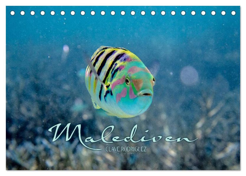 Unterwasserwelt der Malediven II (Tischkalender 2027 DIN A5 quer) CALVENDO Monatskalender