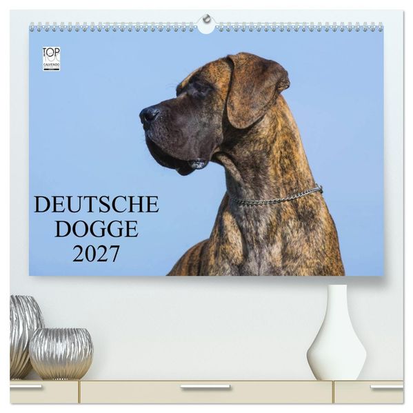 Deutsche Dogge 2027 (hochwertiger Premium Wandkalender 2027 DIN A2 quer) Kunstdruck in Hochglanz