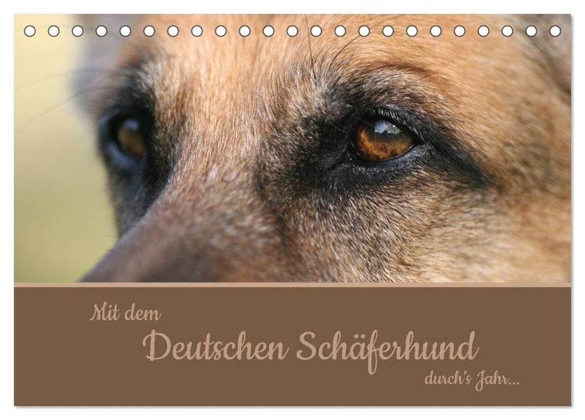 Mit dem Deutschen Schäferhund durch's Jahr (Tischkalender 2027 DIN A5 quer) CALVENDO Monatskalender