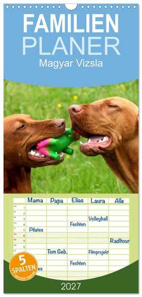 Familienplaner 2027 - Magyar Vizsla mit 5 Spalten (Wandkalender 21 x 45 cm) CALVENDO
