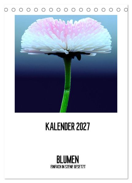 BLUMEN EINFACH IN SZENE GESETZT (Tischkalender 2027 DIN A5 hoch) CALVENDO Monatskalender