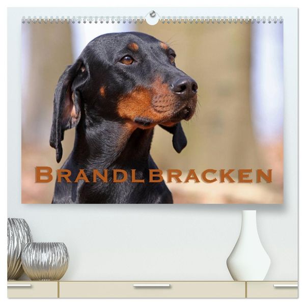 Brandlbracken (hochwertiger Premium Wandkalender 2027 DIN A2 quer) Kunstdruck in Hochglanz