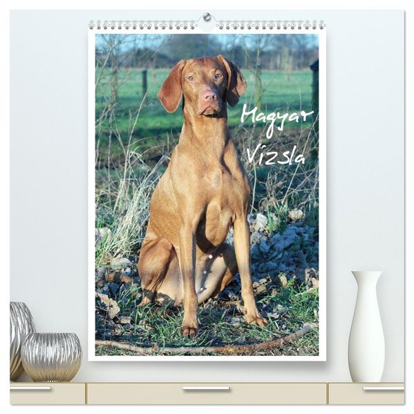Magyar Vizsla (hochwertiger Premium Wandkalender 2027 DIN A2 hoch) Kunstdruck in Hochglanz