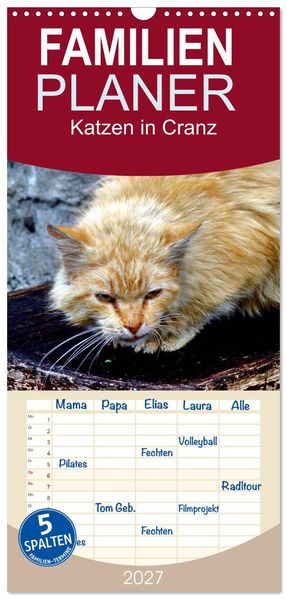 Familienplaner 2027 - Katzen in Cranz mit 5 Spalten (Wandkalender 21 x 45 cm) CALVENDO