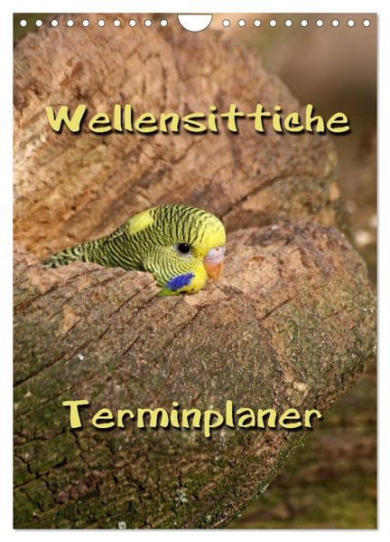 Wellensittiche Terminplaner (Wandkalender 2027 DIN A4 hoch) CALVENDO Monatskalender